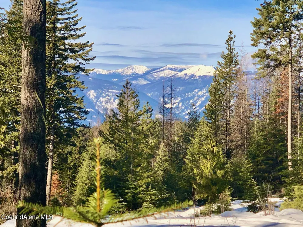 NKA Meadow Creek Road Bonners Ferry, ID 83805