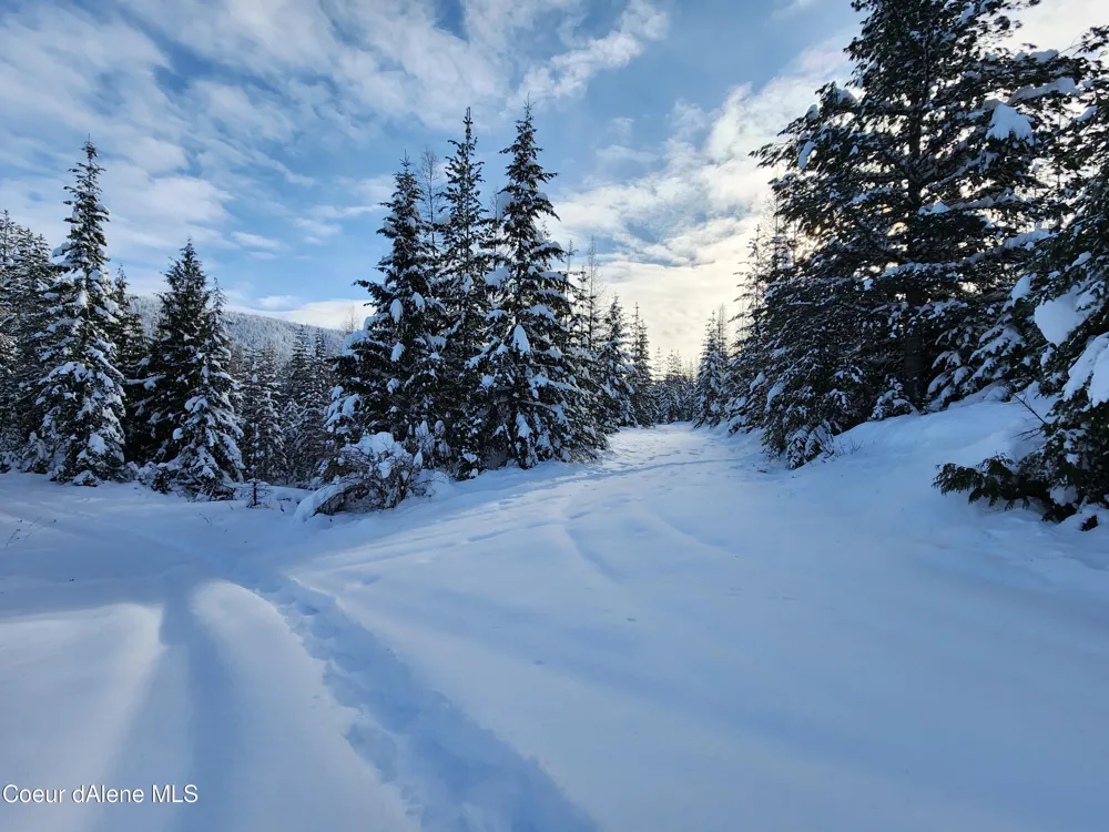 NKA Meadow Creek Road Bonners Ferry, ID 83805