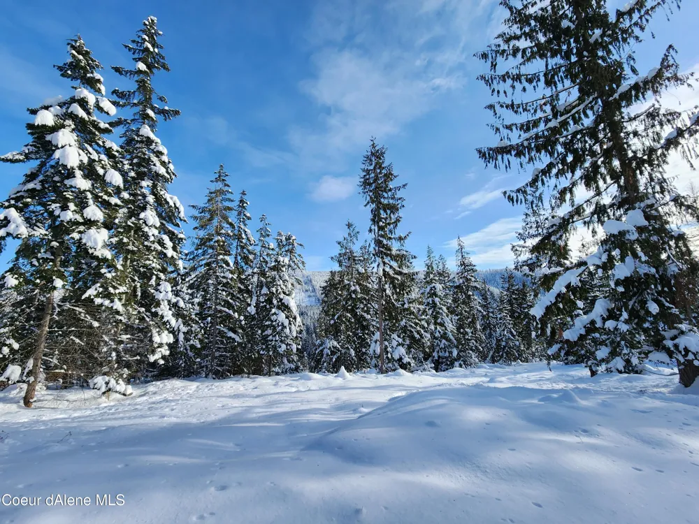 NKA Meadow Creek Road Bonners Ferry, ID 83805