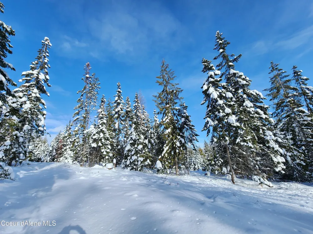 NKA Meadow Creek Road Bonners Ferry, ID 83805