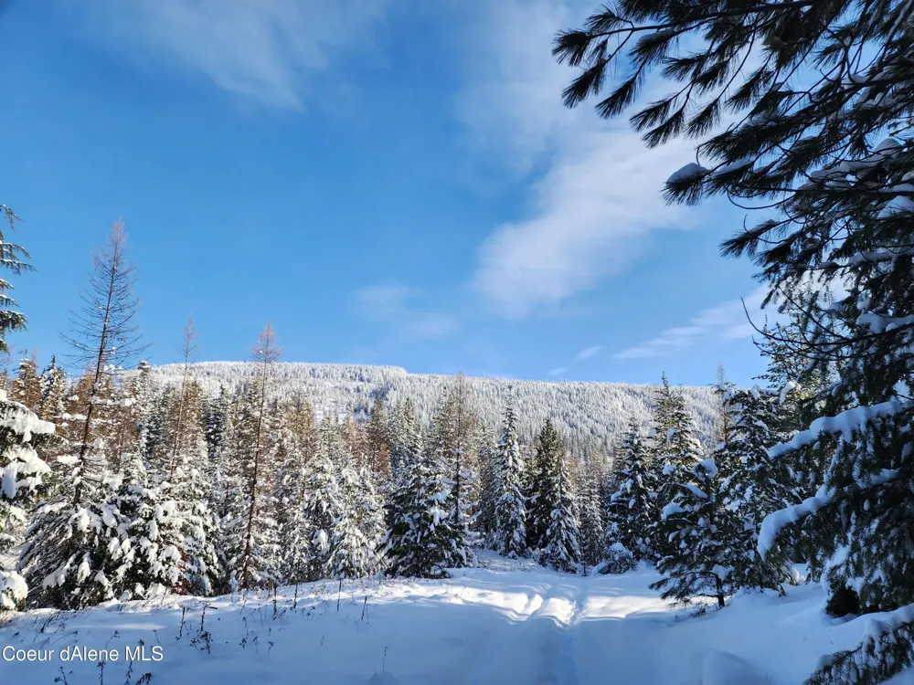 NKA Meadow Creek Road Bonners Ferry, ID 83805