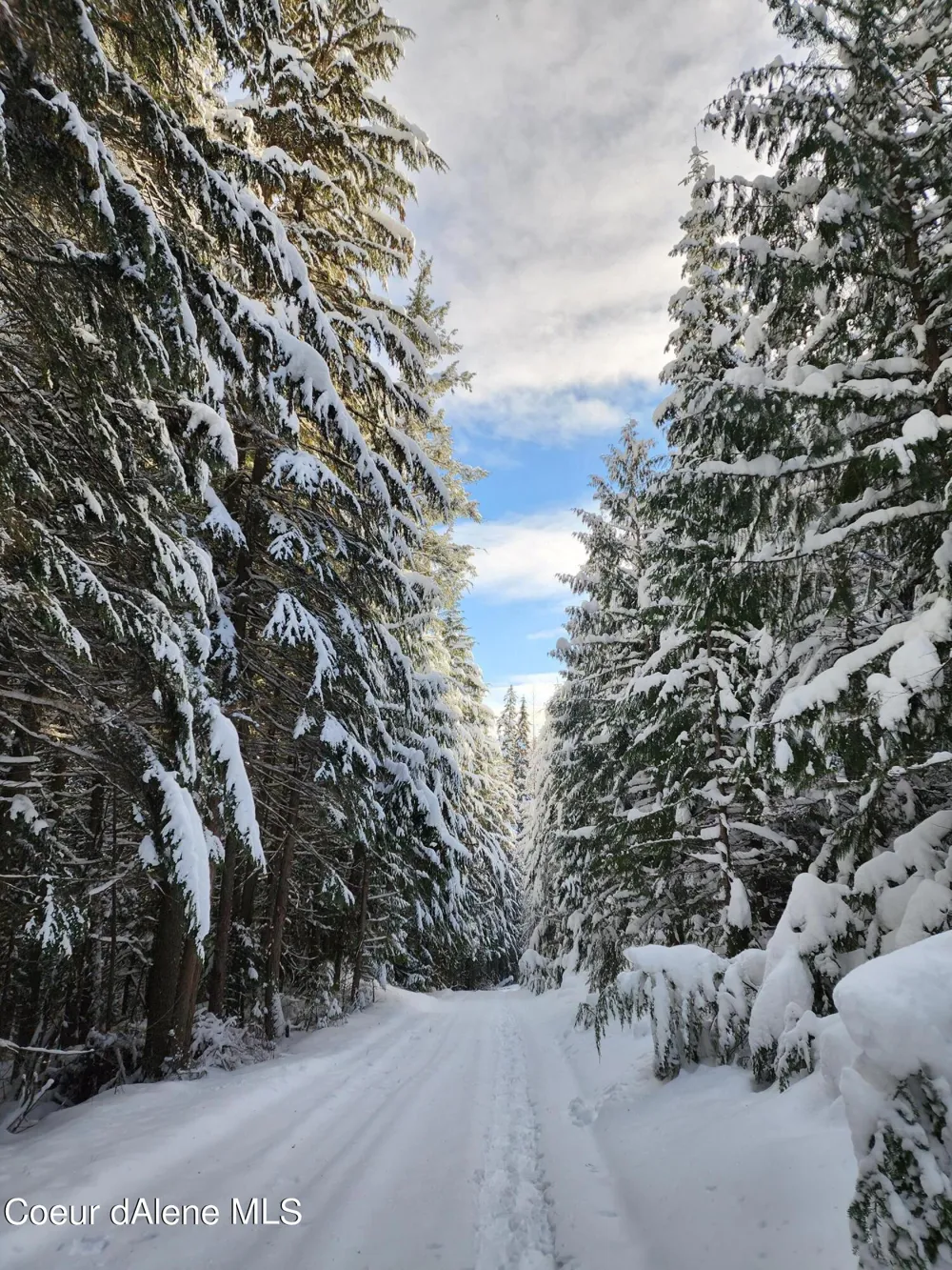 NKA Meadow Creek Road Bonners Ferry, ID 83805