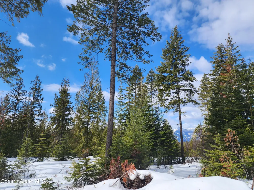 NKA Meadow Creek Road Bonners Ferry, ID 83805