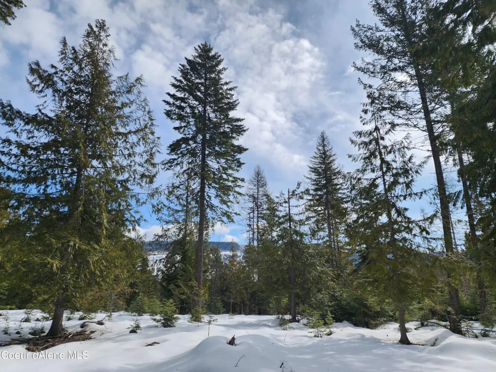 NKA Meadow Creek Road Bonners Ferry, ID 83805