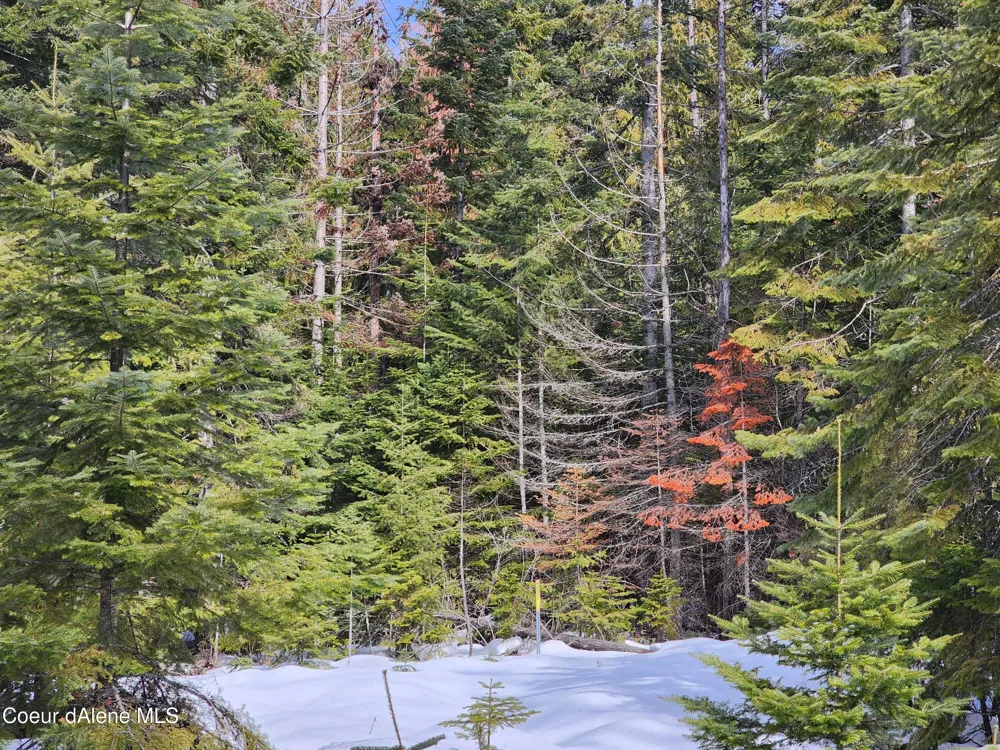 NKA Meadow Creek Road Bonners Ferry, ID 83805