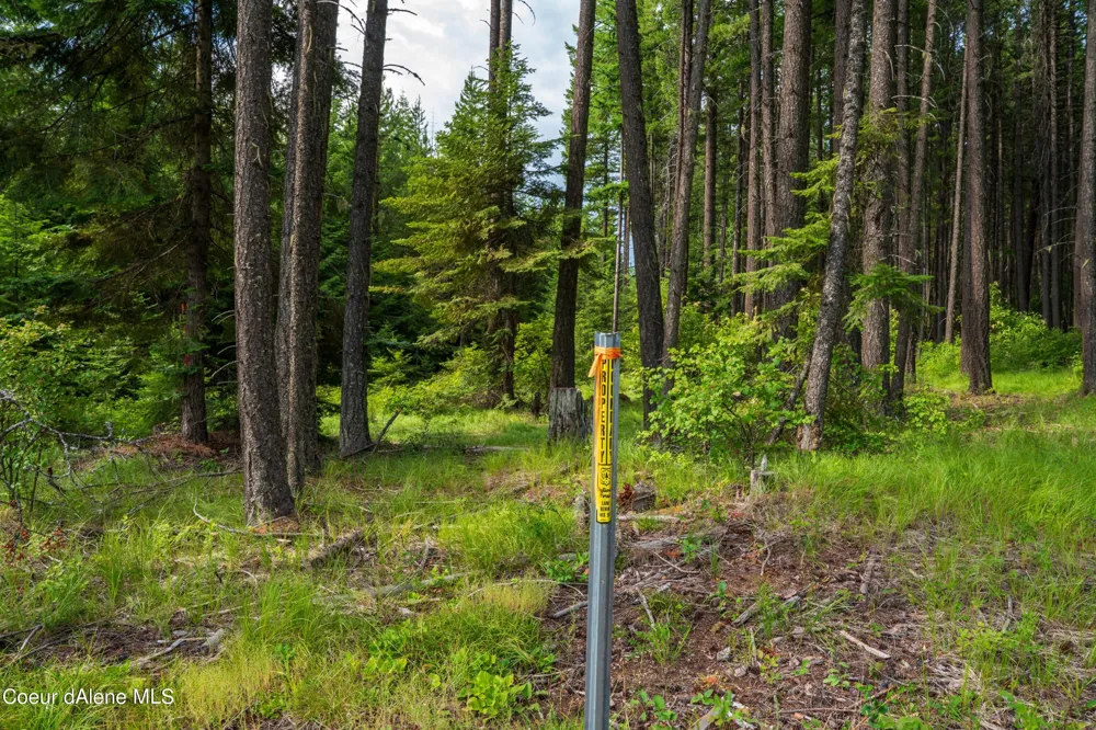 NKA Meadow Creek Road Bonners Ferry, ID 83805