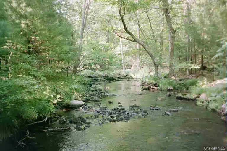 Lot 59.2 Lower Lumber Road Glen Spey, NY 12737