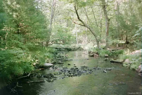 Lot 59.2 Lower Lumber Road