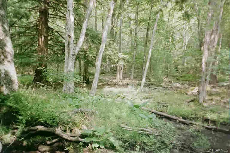 Lot 59.2 Lower Lumber Road Glen Spey, NY 12737