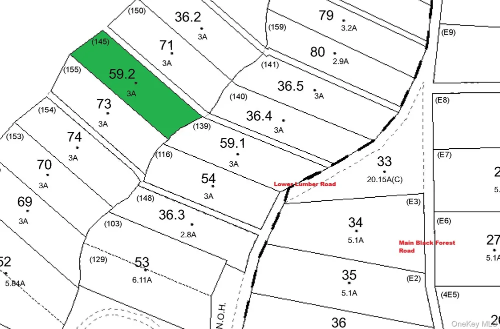 Lot 59.2 Lower Lumber Road Glen Spey, NY 12737