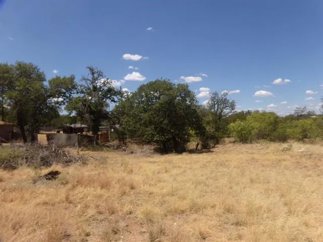 140 Pine Lane Cottonwood Shores, TX 78657