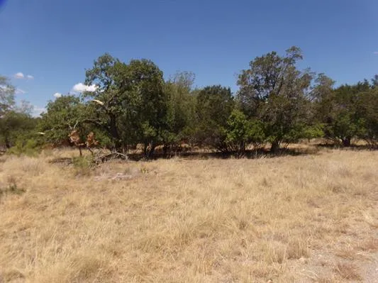 141 Pine Lane Cottonwood Shores, TX 78657