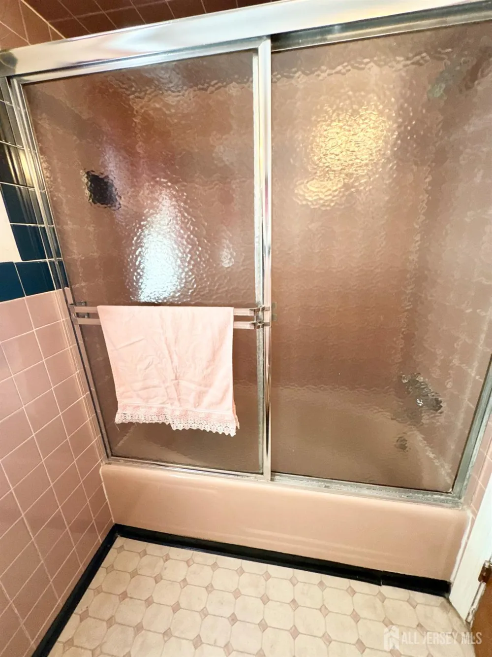 107 Zoar Place Middlesex, NJ 08846