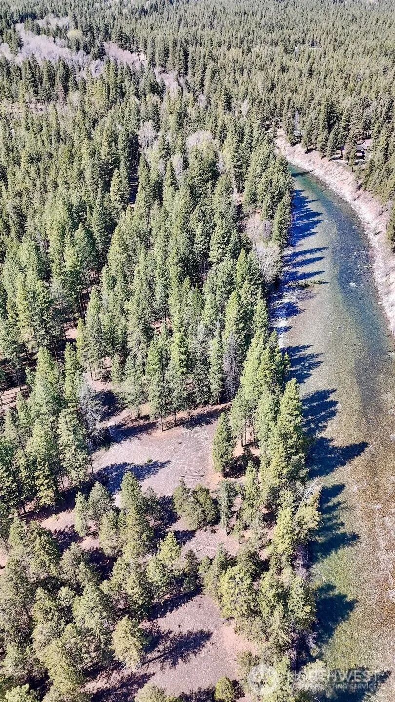 38 Mazama Pines Lane Mazama, WA 98833