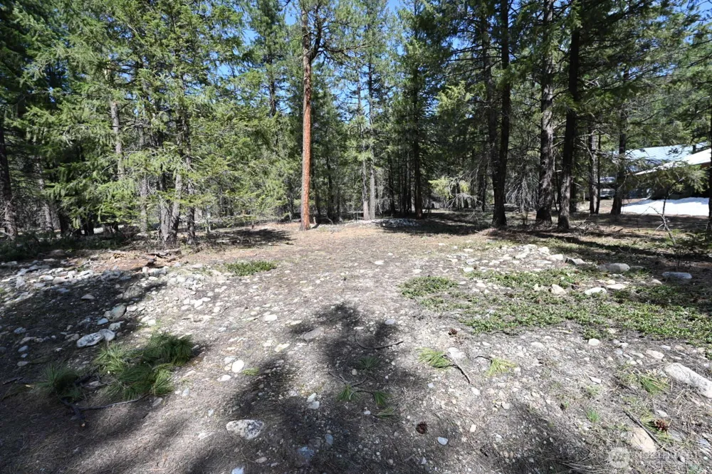 38 Mazama Pines Lane Mazama, WA 98833