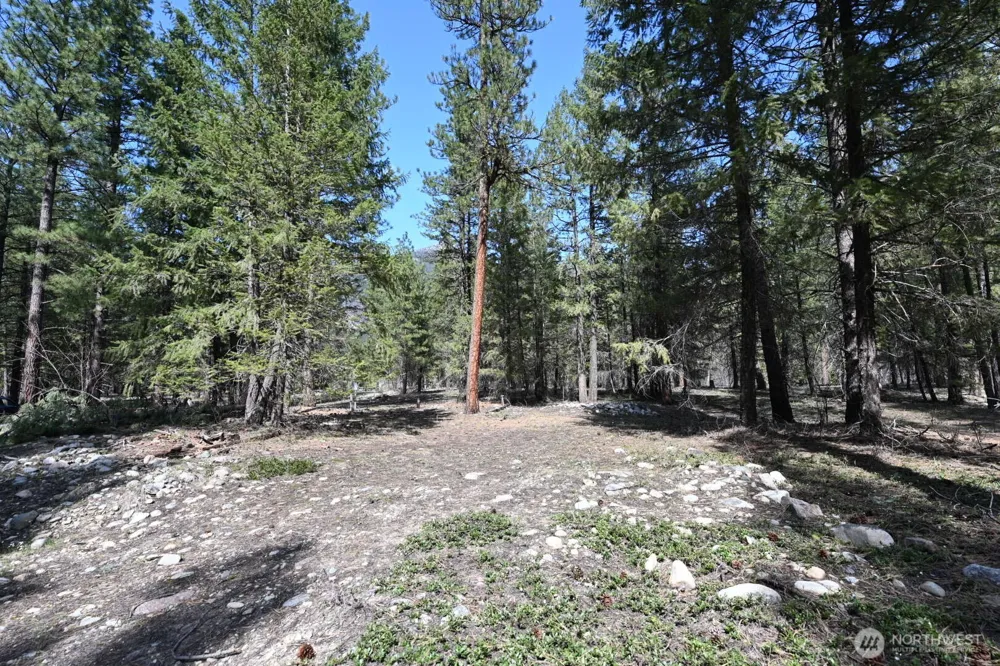 38 Mazama Pines Lane Mazama, WA 98833