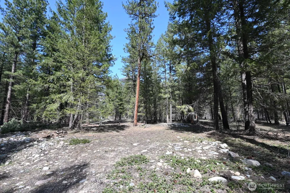 38 Mazama Pines Lane Mazama, WA 98833
