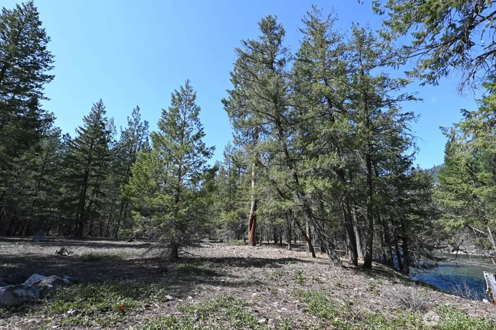 38 Mazama Pines Lane Mazama, WA 98833