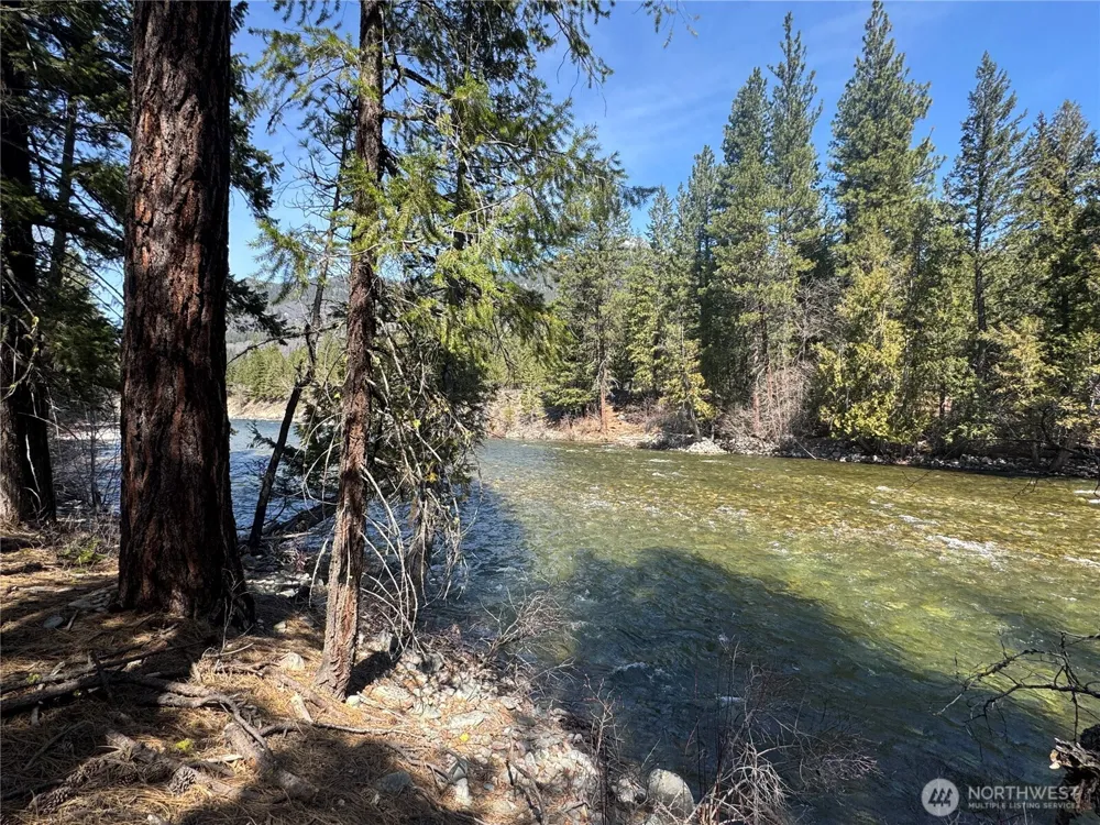 38 Mazama Pines Lane Mazama, WA 98833