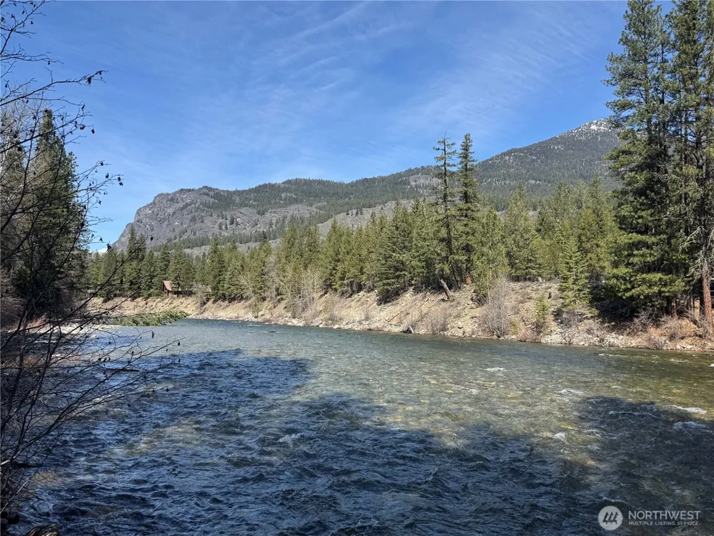 38 Mazama Pines Lane Mazama, WA 98833