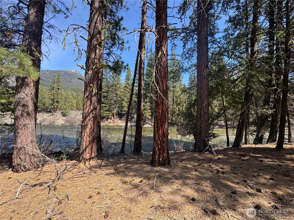 38 Mazama Pines Lane Mazama, WA 98833