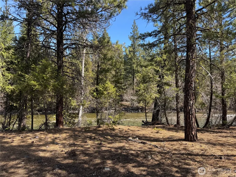38 Mazama Pines Lane Mazama, WA 98833