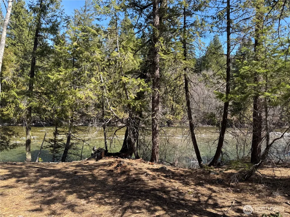 38 Mazama Pines Lane Mazama, WA 98833