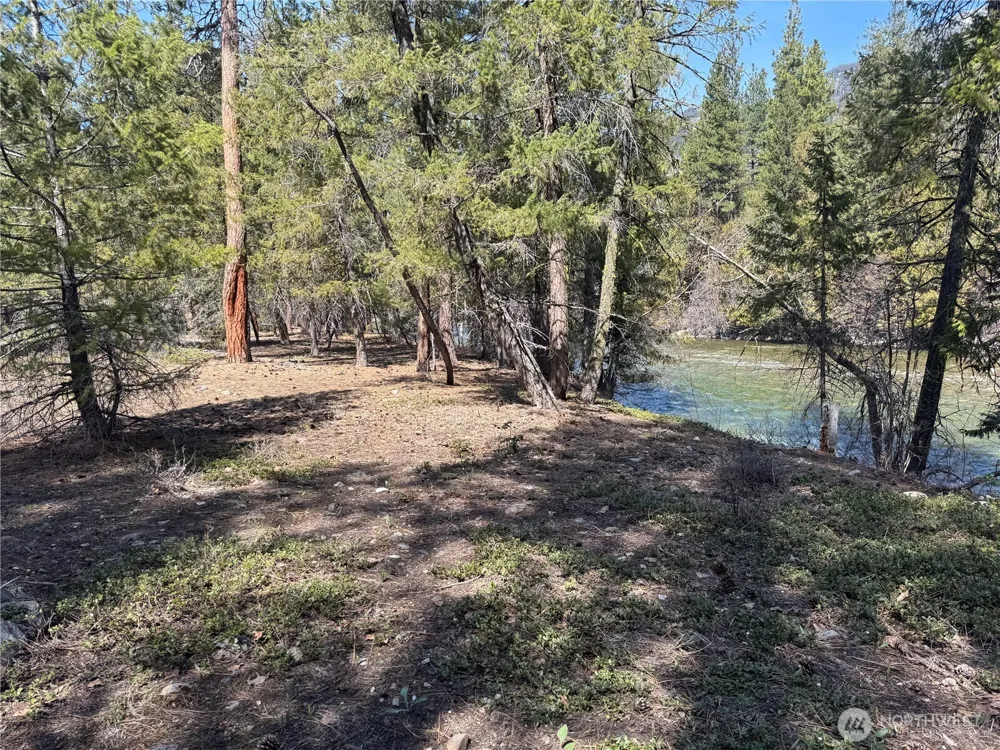 38 Mazama Pines Lane Mazama, WA 98833