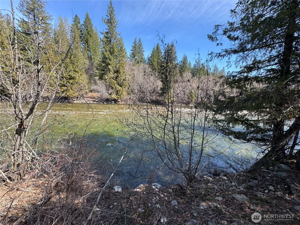 38 Mazama Pines Lane Mazama, WA 98833