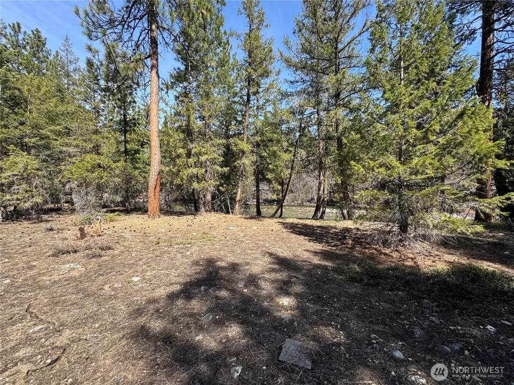 38 Mazama Pines Lane Mazama, WA 98833