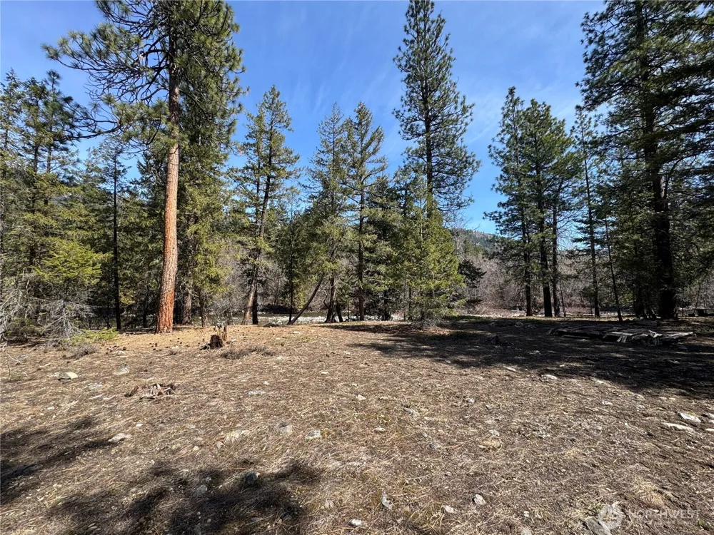 38 Mazama Pines Lane Mazama, WA 98833