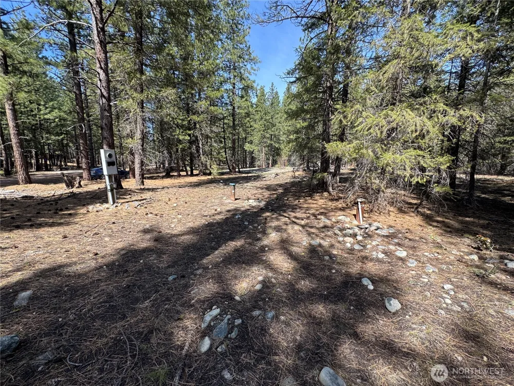 38 Mazama Pines Lane Mazama, WA 98833