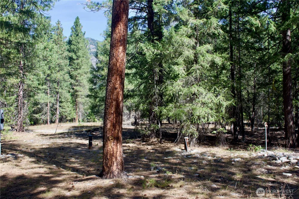 38 Mazama Pines Lane Mazama, WA 98833