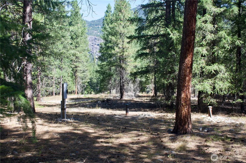 38 Mazama Pines Lane Mazama, WA 98833