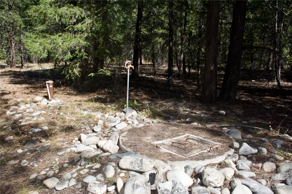 38 Mazama Pines Lane Mazama, WA 98833