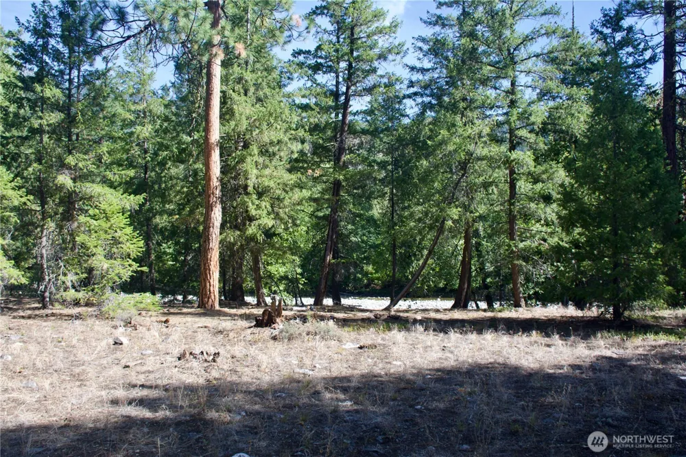 38 Mazama Pines Lane Mazama, WA 98833