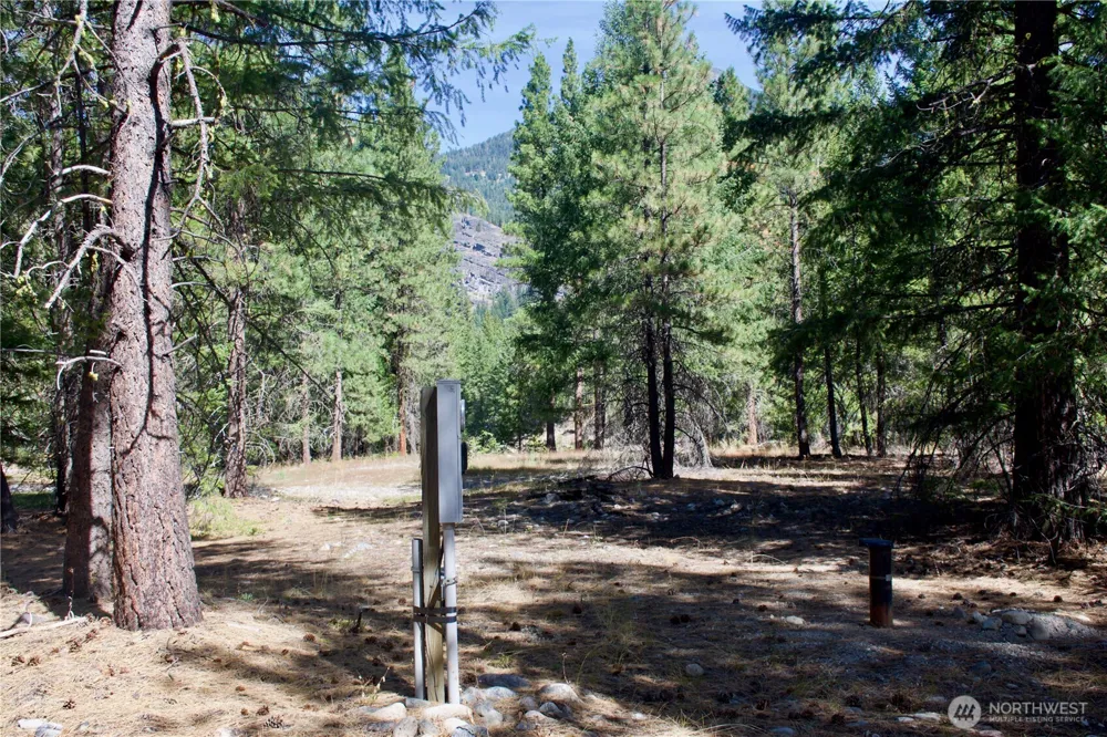 38 Mazama Pines Lane Mazama, WA 98833