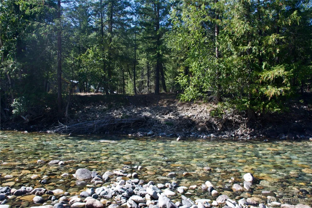 38 Mazama Pines Lane Mazama, WA 98833