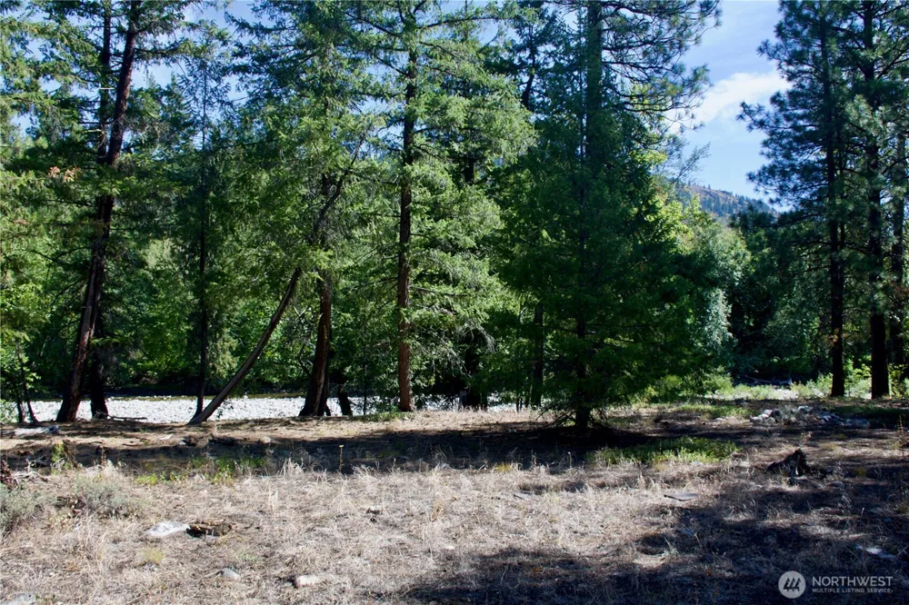 38 Mazama Pines Lane Mazama, WA 98833