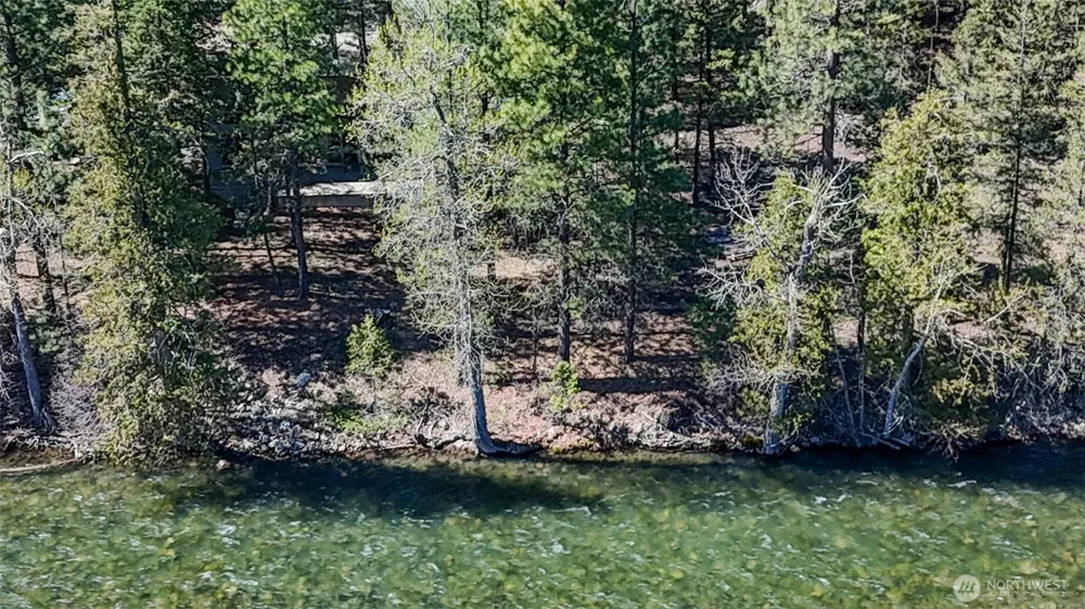 38 Mazama Pines Lane Mazama, WA 98833