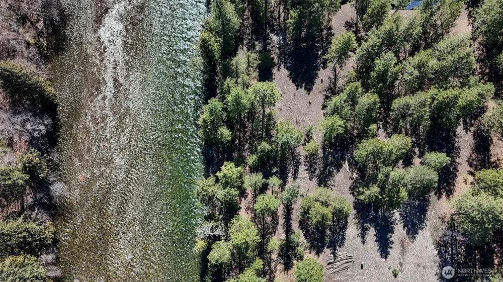 38 Mazama Pines Lane Mazama, WA 98833