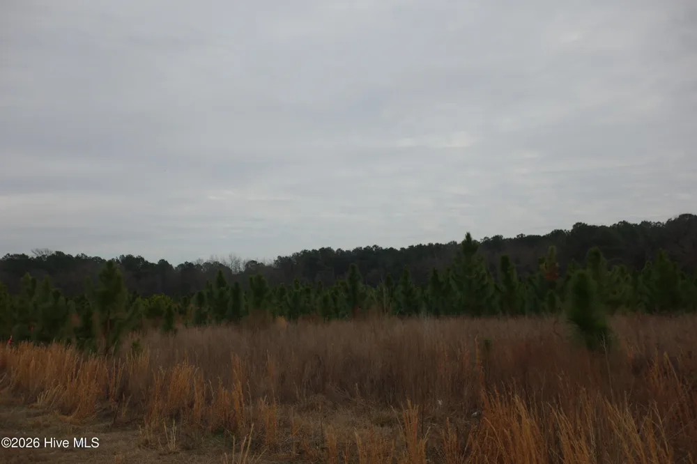 Lot 36 Stuarts Mill Road Fairmont, NC 28340