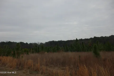 Lot 38 Stuarts Mill Road