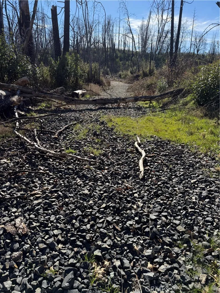 Inalane Berry Creek, CA 95916