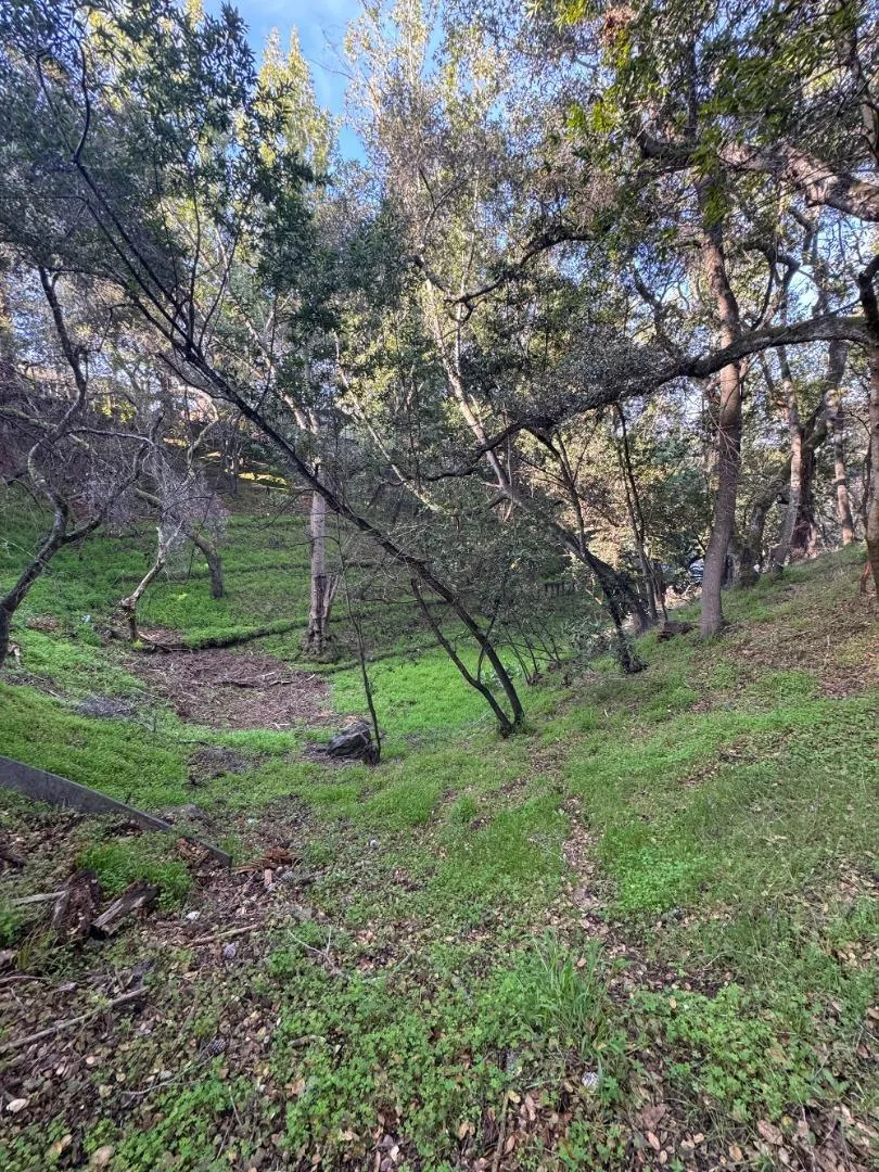 Parrott Drive San Mateo, CA 94402