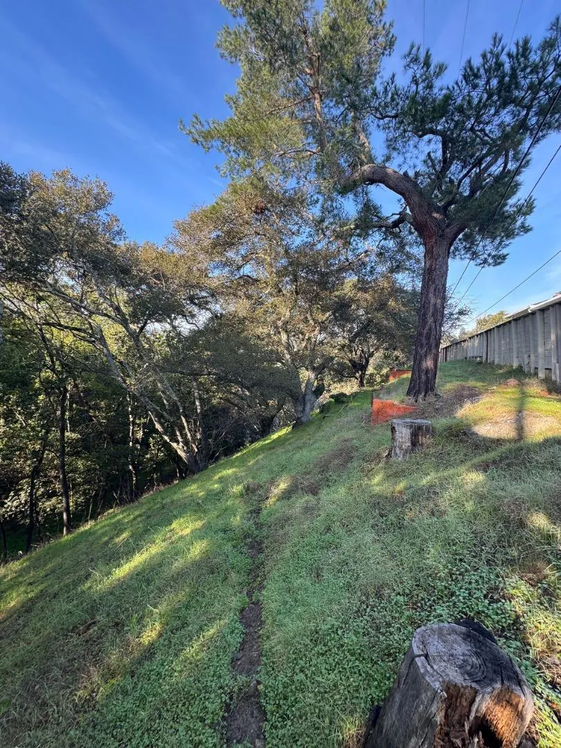 Parrott Drive San Mateo, CA 94402