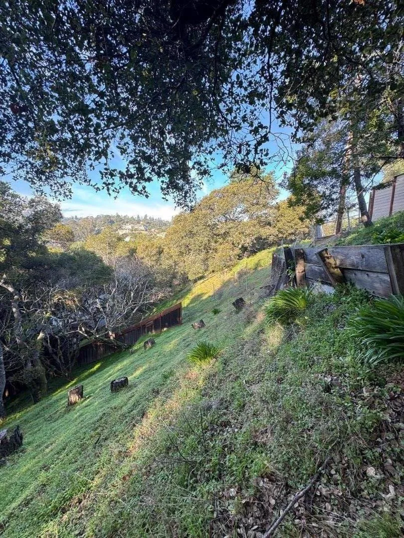 Parrott Drive San Mateo, CA 94402