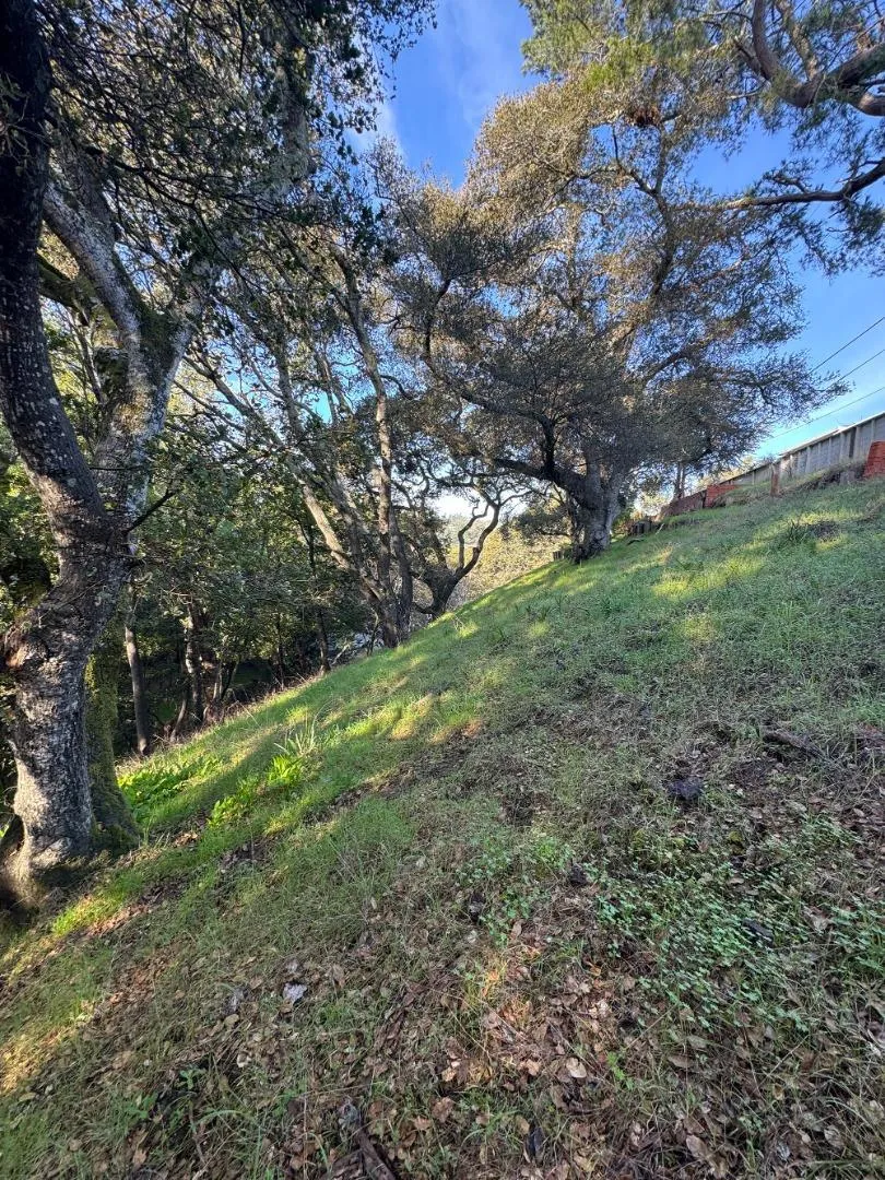 Parrott Drive San Mateo, CA 94402