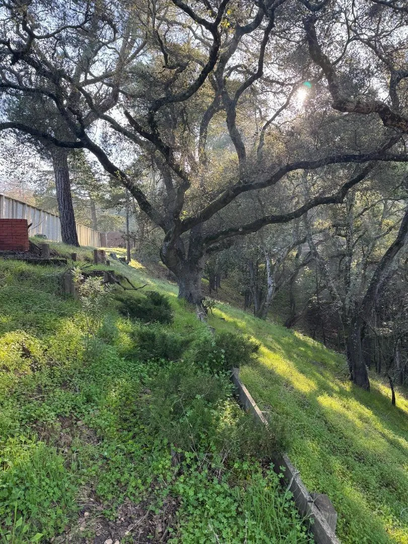Parrott Drive San Mateo, CA 94402