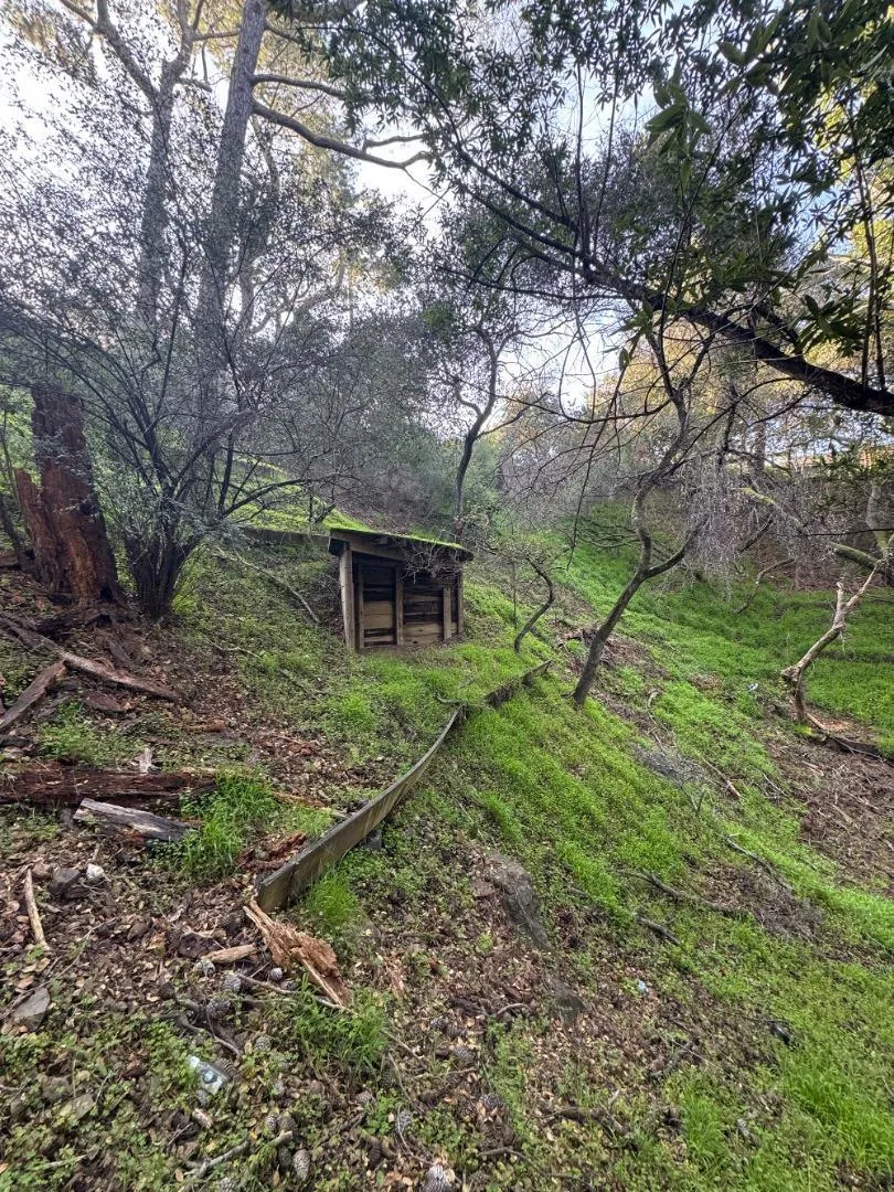 Parrott Drive San Mateo, CA 94402